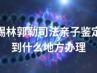 锡林郭勒司法亲子鉴定到什么地方办理