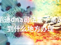 昭通dna司法亲子鉴定到什么地方办理