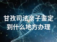 甘孜司法亲子鉴定到什么地方办理