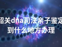 韶关dna司法亲子鉴定到什么地方办理