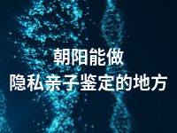 朝阳能做隐私亲子鉴定的地方