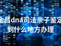 金昌dna司法亲子鉴定到什么地方办理