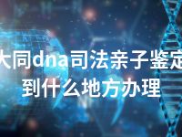 大同dna司法亲子鉴定到什么地方办理