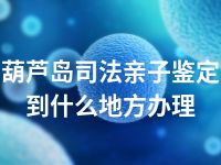 葫芦岛司法亲子鉴定到什么地方办理