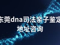 东莞dna司法亲子鉴定地址咨询