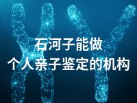 石河子能做个人亲子鉴定的机构