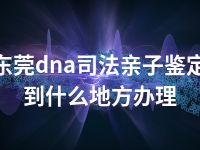 东莞dna司法亲子鉴定到什么地方办理