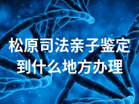 松原司法亲子鉴定到什么地方办理