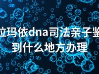 克拉玛依dna司法亲子鉴定到什么地方办理