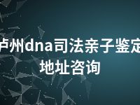 泸州dna司法亲子鉴定地址咨询