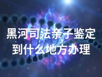 黑河司法亲子鉴定到什么地方办理