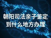 朝阳司法亲子鉴定到什么地方办理