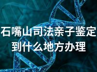 石嘴山司法亲子鉴定到什么地方办理