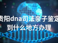 贵阳dna司法亲子鉴定到什么地方办理