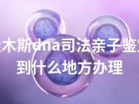 佳木斯dna司法亲子鉴定到什么地方办理