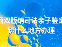 西双版纳司法亲子鉴定到什么地方办理