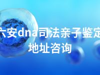 六安dna司法亲子鉴定地址咨询