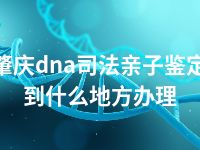 肇庆dna司法亲子鉴定到什么地方办理