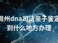 滁州dna司法亲子鉴定到什么地方办理