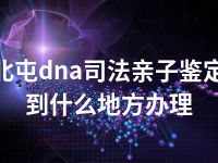 北屯dna司法亲子鉴定到什么地方办理