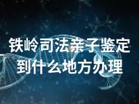 铁岭司法亲子鉴定到什么地方办理