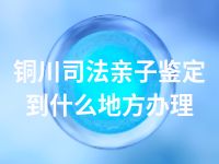 铜川司法亲子鉴定到什么地方办理