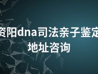 资阳dna司法亲子鉴定地址咨询