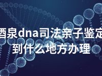 酒泉dna司法亲子鉴定到什么地方办理