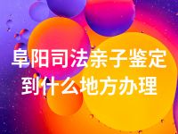 阜阳司法亲子鉴定到什么地方办理