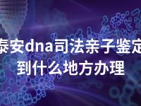 泰安dna司法亲子鉴定到什么地方办理