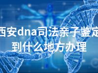 西安dna司法亲子鉴定到什么地方办理