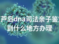 葫芦岛dna司法亲子鉴定到什么地方办理