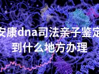 安康dna司法亲子鉴定到什么地方办理