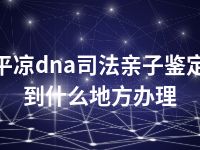 平凉dna司法亲子鉴定到什么地方办理