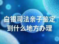 白银司法亲子鉴定到什么地方办理