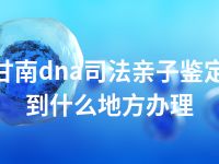 甘南dna司法亲子鉴定到什么地方办理