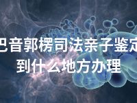 巴音郭楞司法亲子鉴定到什么地方办理