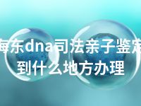 海东dna司法亲子鉴定到什么地方办理