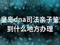 秦皇岛dna司法亲子鉴定到什么地方办理