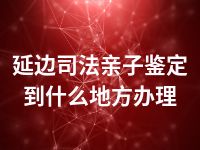 延边司法亲子鉴定到什么地方办理