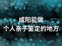 咸阳能做个人亲子鉴定的地方