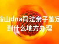 鞍山dna司法亲子鉴定到什么地方办理