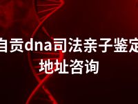 自贡dna司法亲子鉴定地址咨询