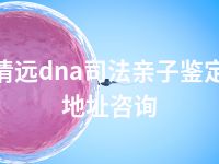 清远dna司法亲子鉴定地址咨询