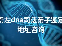 崇左dna司法亲子鉴定地址咨询