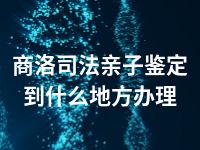 商洛司法亲子鉴定到什么地方办理