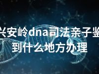 大兴安岭dna司法亲子鉴定到什么地方办理