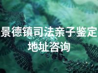 景德镇司法亲子鉴定地址咨询