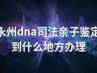 永州dna司法亲子鉴定到什么地方办理