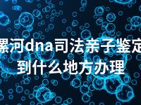 漯河dna司法亲子鉴定到什么地方办理